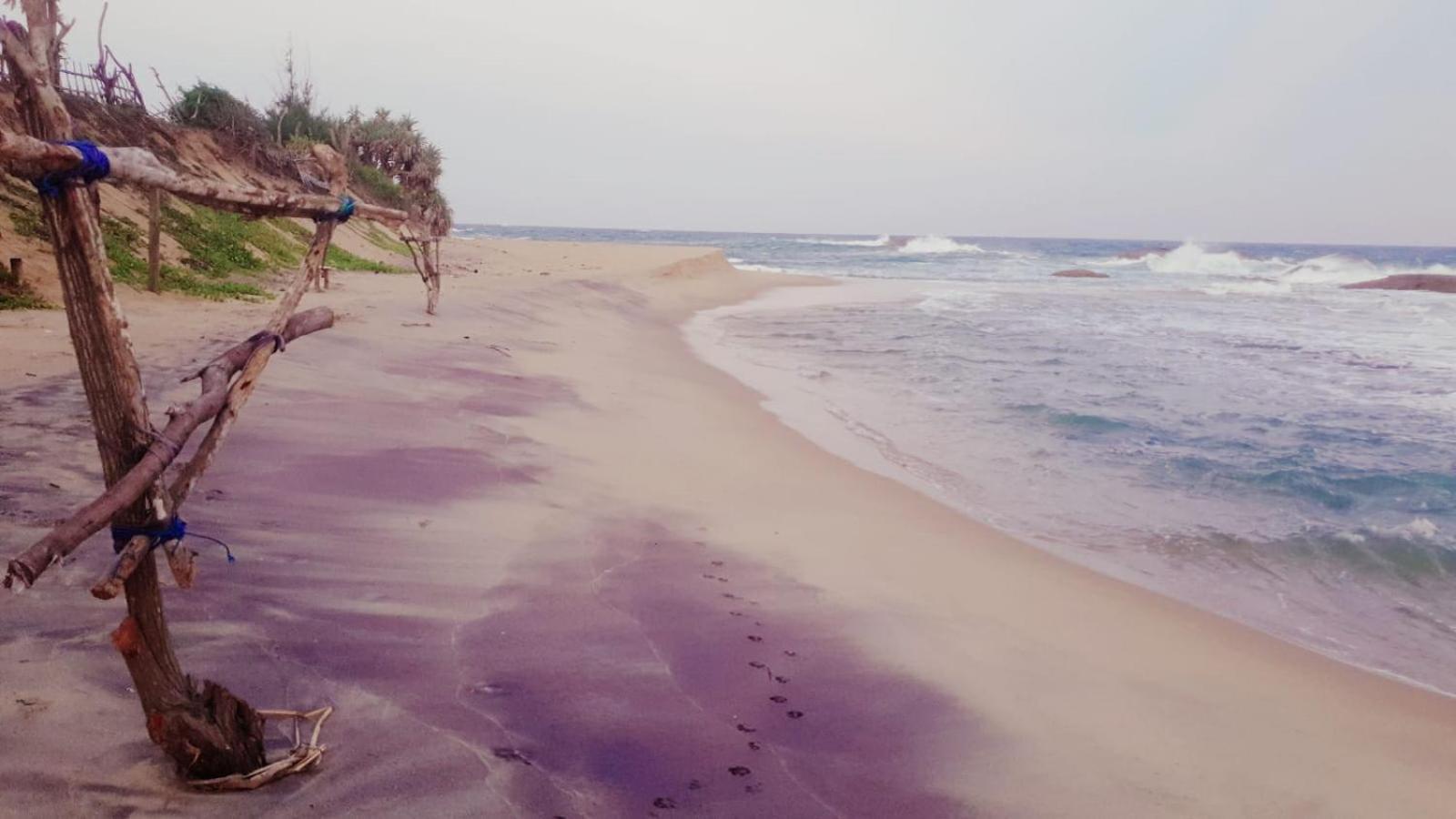 Beach Bungalow Yala Kirinda  Exterior photo